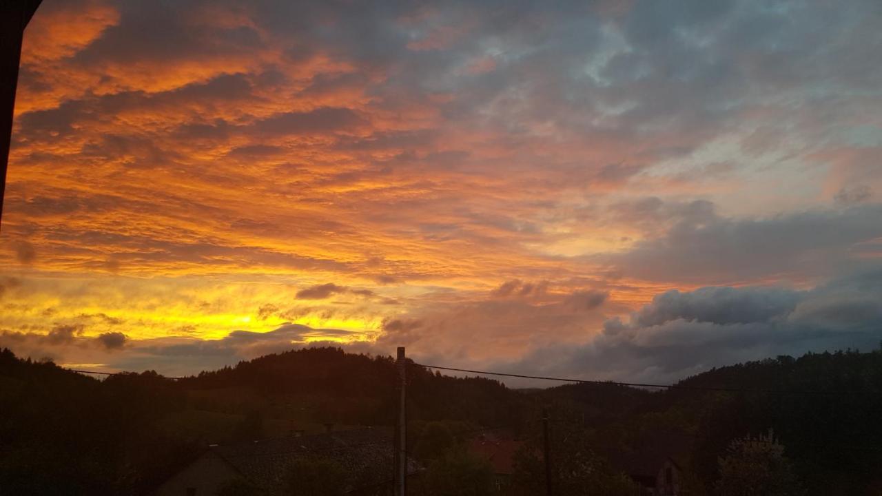 Pokoje Goscinne Art- Dworek Kudowa-Zdrój Exterior foto
